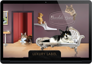 Webdesign pro chovatele
